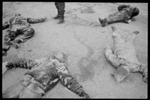 [PICTURE -some of the dead ]